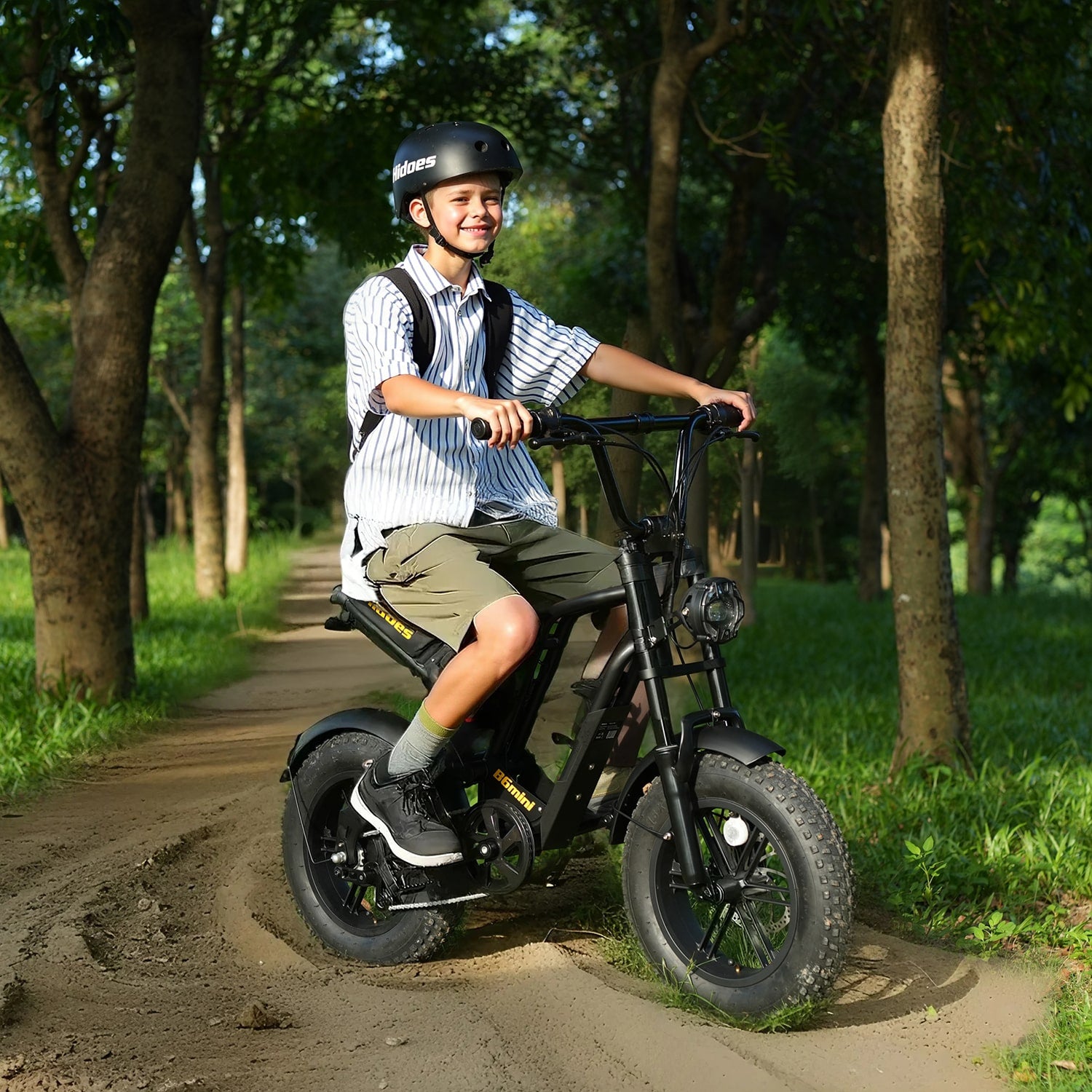 Hidoes B6 Mini 48V 10.4Ah Fat Tire Electric Bike 16” Compact Ebike