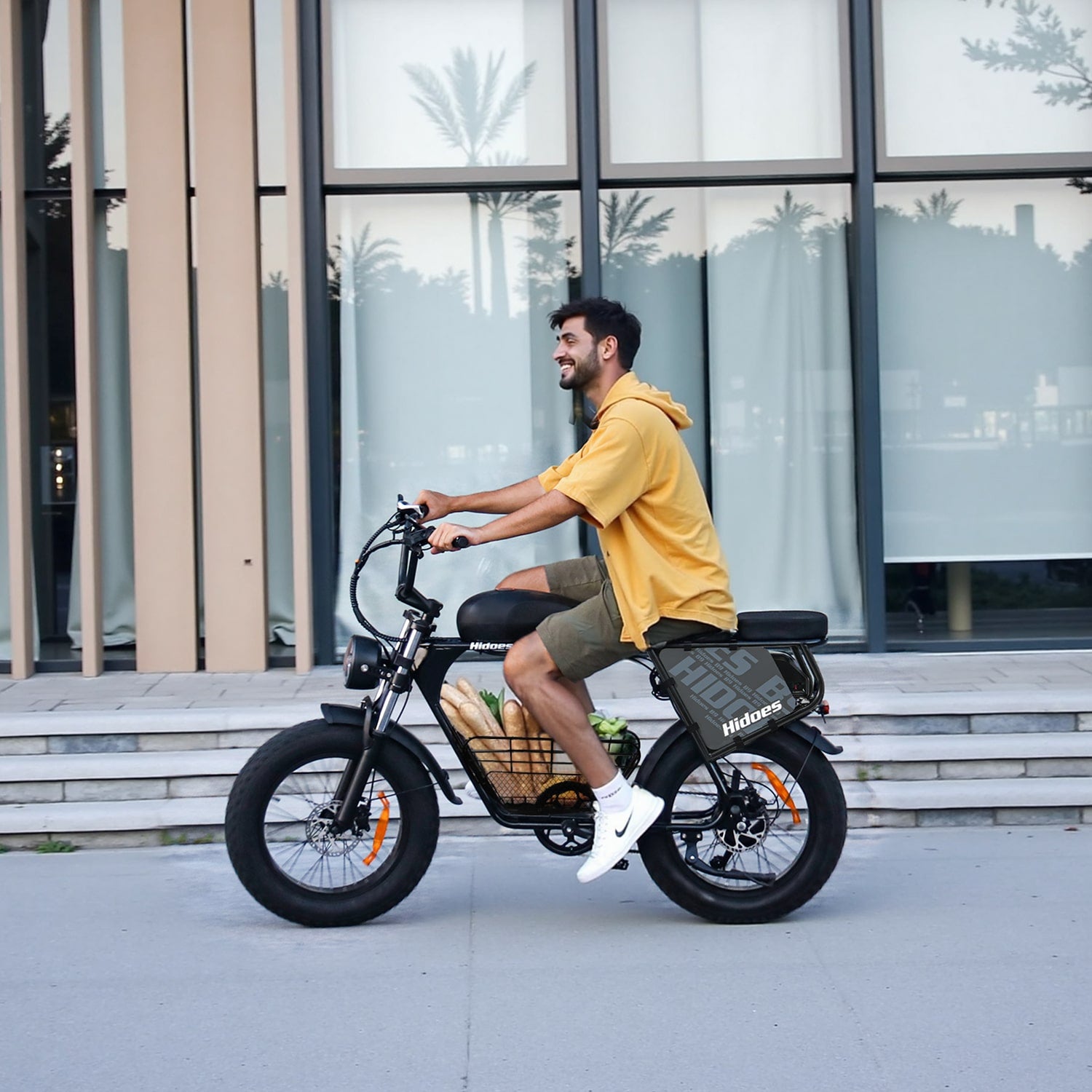 Hidoes B9 Long-Range Dual Battery Electric Bike with Hydraulic Brakes & Basket - 25 km/h