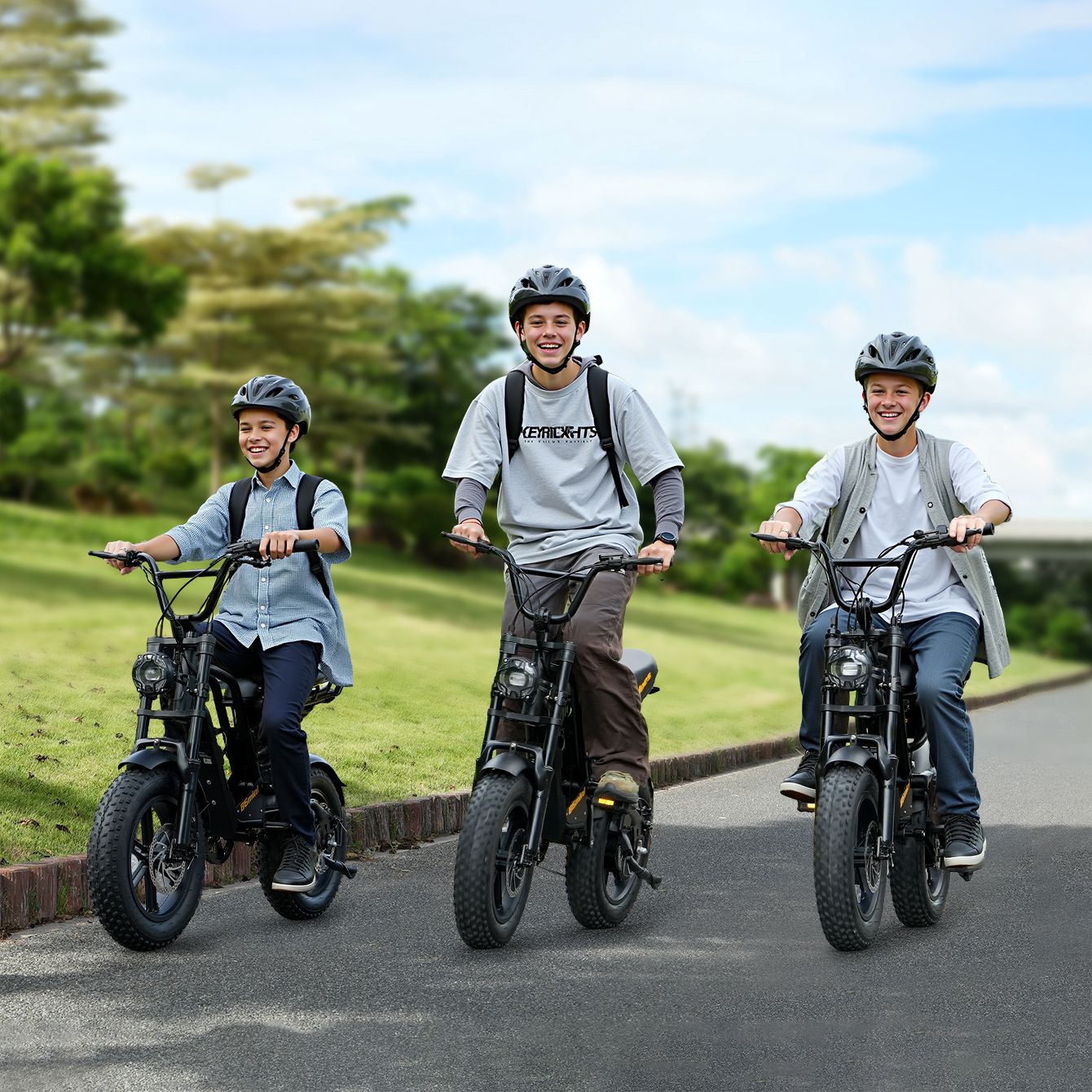 Hidoes B6 Mini 48V 10.4Ah Fat Tire Electric Bike 16” Compact Ebike