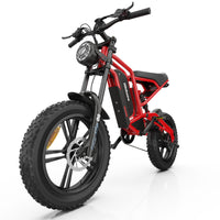 Hidoes B6 Electric Bike 48V 15.6Ah 20” Fat Tire Ebike for Adults