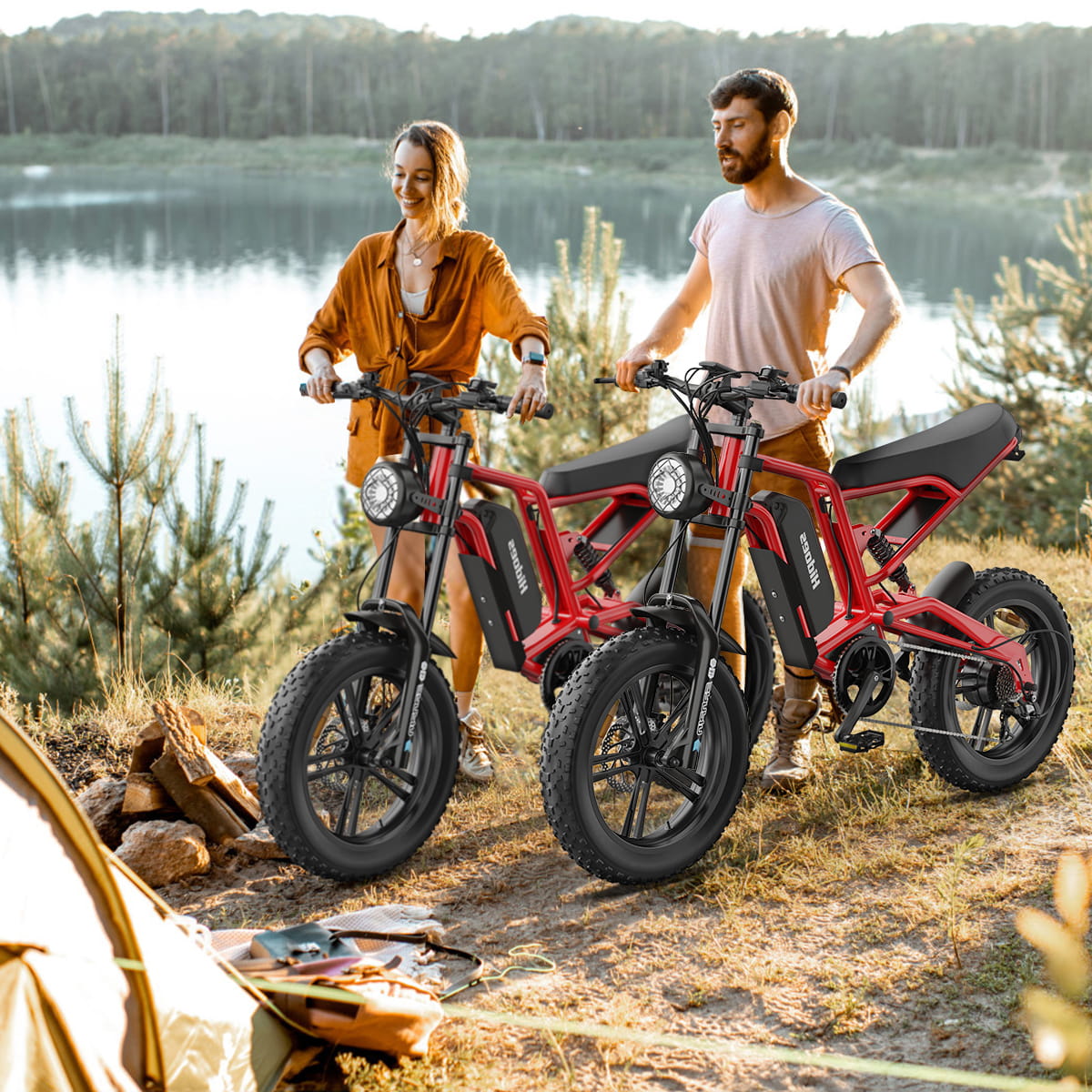 Hidoes B6 Electric Bike 48V 15.6Ah 20” Fat Tire Ebike for Adults