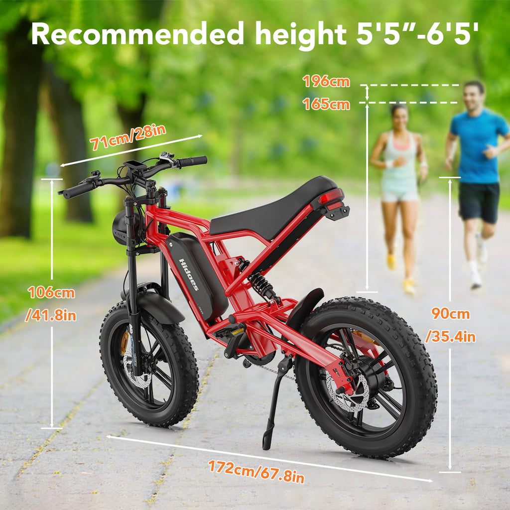 Hidoes B6 Electric Bike 48V 15.6Ah 20” Fat Tire Ebike for Adults