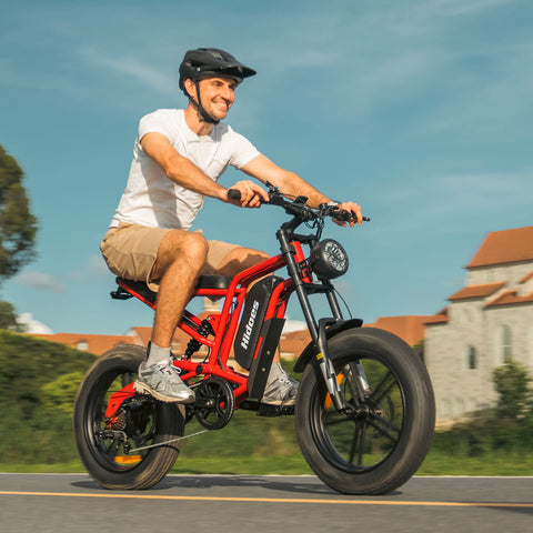Hidoes B6 Electric Bike 48V 15.6Ah 20” Fat Tire Ebike for Adults