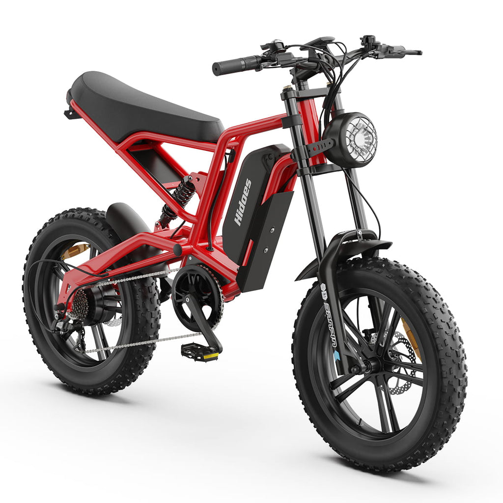 Hidoes B6 Electric Bike 48V 15.6Ah 20” Fat Tire Ebike for Adults