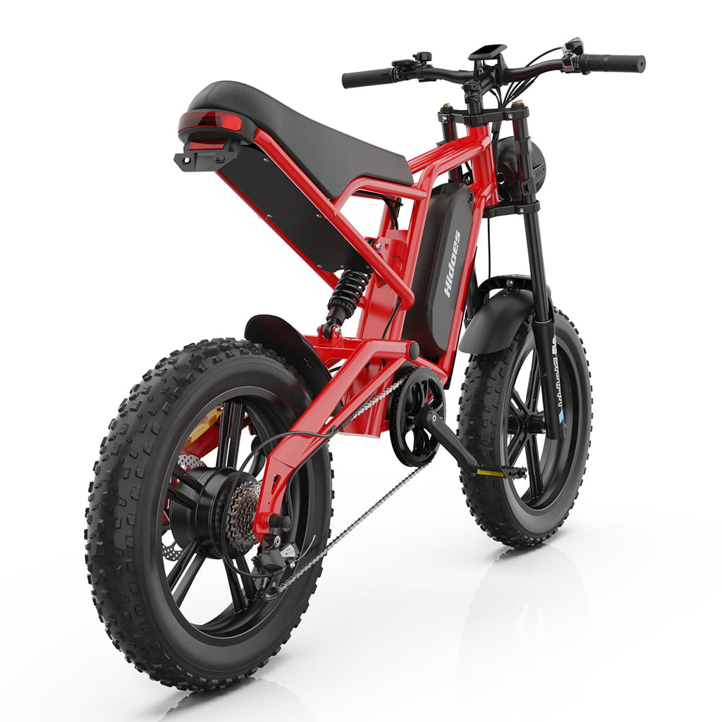 Hidoes B6 Electric Bike 48V 15.6Ah 20” Fat Tire Ebike for Adults