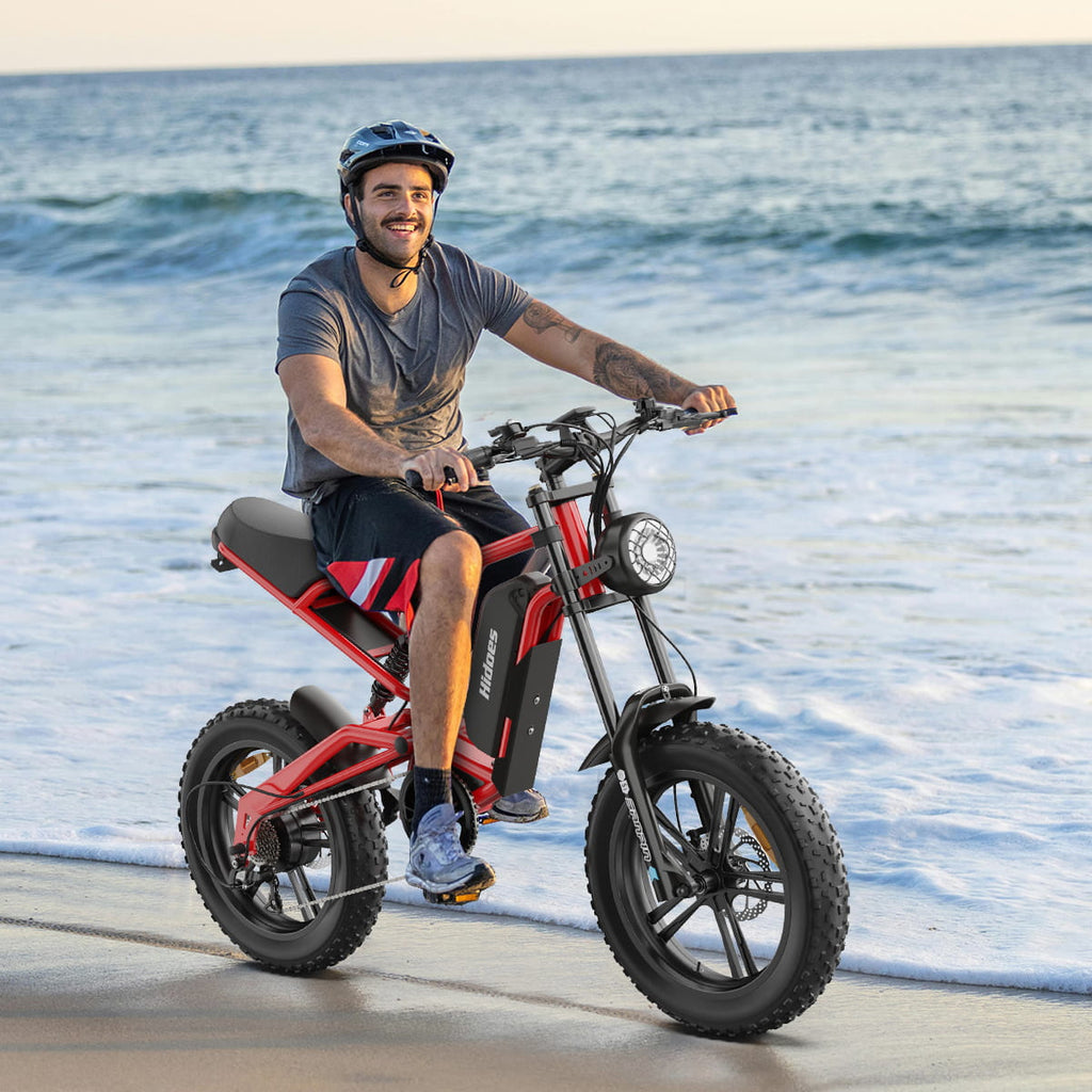 Hidoes B6 Electric Bike 48V 15.6Ah 20” Fat Tire Ebike for Adults