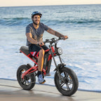 Hidoes B6 Electric Bike 48V 15.6Ah 20” Fat Tire Ebike for Adults