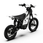 VIPCOO H2 Electric Dirt Bike